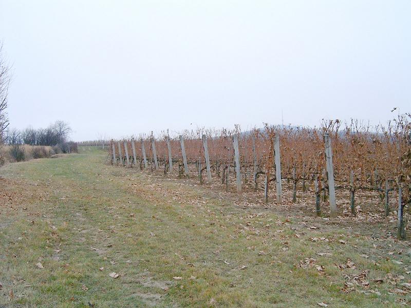20111210 044.jpg